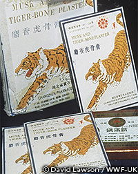 20101112d.jpg