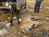 20101124c.jpg