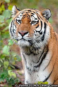 20101124d.jpg