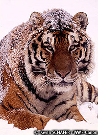 20101125b.jpg