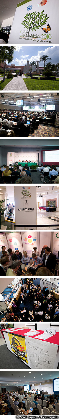 20101214f.jpg
