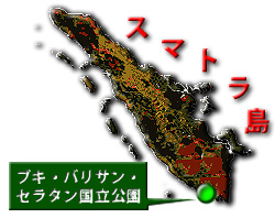 20110101g.jpg