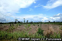 20110101h.jpg