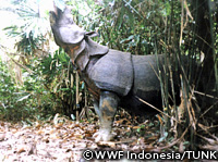 20110228e.jpg