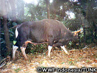 20110228f.jpg
