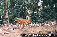 20110228g.jpg