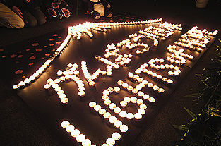 20110326d3.jpg