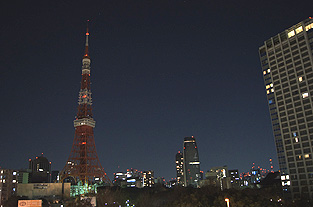 20110326e1.jpg