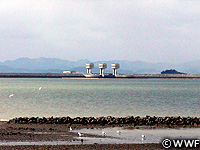 20110413c.jpg