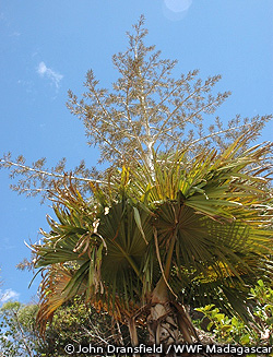 20110606a.jpg