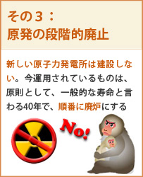 新規の原子力発電所は造らず、既存の原子力発電所は段階的に廃止する