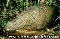 20111025a.jpg