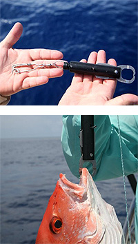 20111118w.jpg