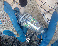 20111118y.jpg