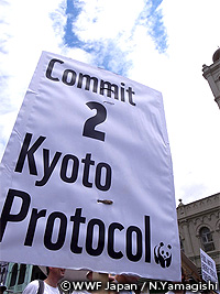 20111213a.jpg