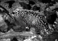 20111214d.jpg