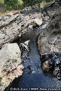 20111226e.jpg