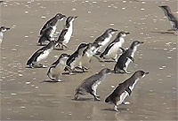 20111226t.jpg