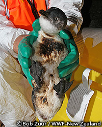 20111226w.jpg