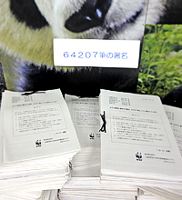 20120501a.jpg