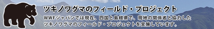 ツキノワグマのフィールド・プロジェクト