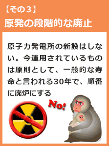 原子力発電所の新規増設は行なわない。現在運用されているものは、原則として、一般的な寿命と言われている30年がきたら順番に運転を停止・廃炉にする