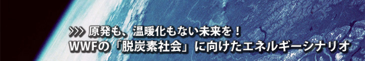 原発も温暖化もない未来を！WWFの「脱炭素社会」に向けたエネルギーシナリオ