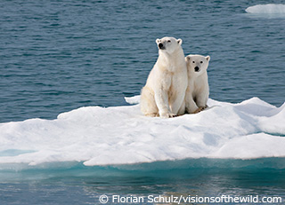 自然の豊かさは58 消失 生きている地球レポート16 を発表 Wwfジャパン