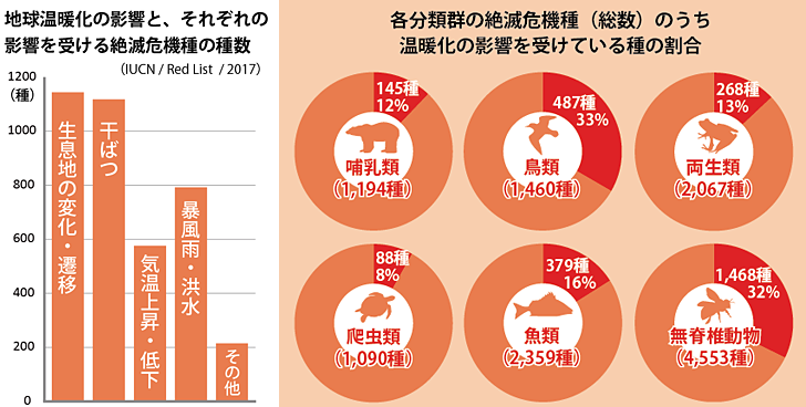 地球温暖化による野生生物への影響 Wwfジャパン