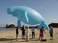 dugong1.jpg