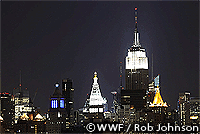 eh_2010ny.gif