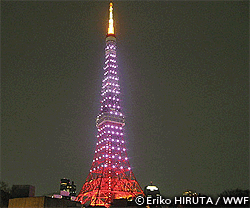 eh_2010tokyot.gif