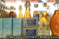 fairwild04.jpg
