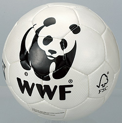 panda_ball.jpg