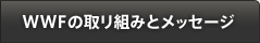 WWFの取り組みとメッセージ