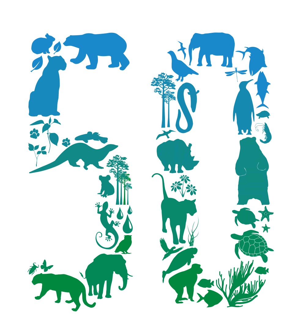 WWFジャパンは50周年