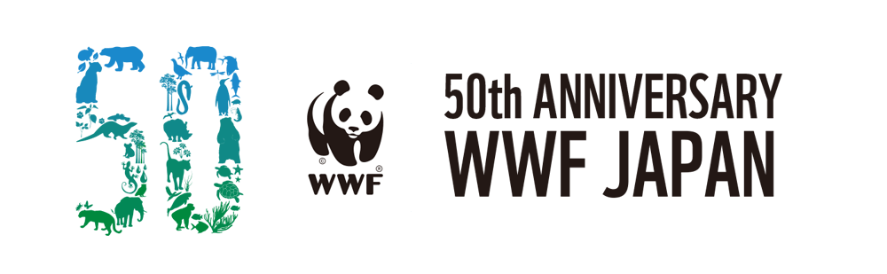 絶滅の危機にある海の動物たち Wwfジャパン50周年特設ページ Wwfジャパン 絶滅の危機にある海の動物たち Wwfジャパン50周年特設ページ Wwfジャパン