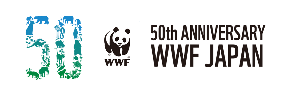 絶滅の危機にある海の動物たち Wwfジャパン50周年特設ページ Wwfジャパン