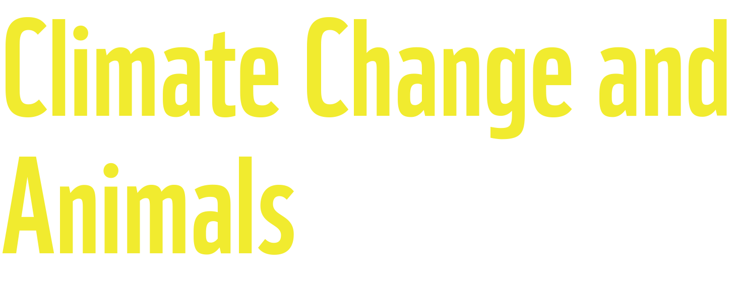 Climate Cange and 
Animals