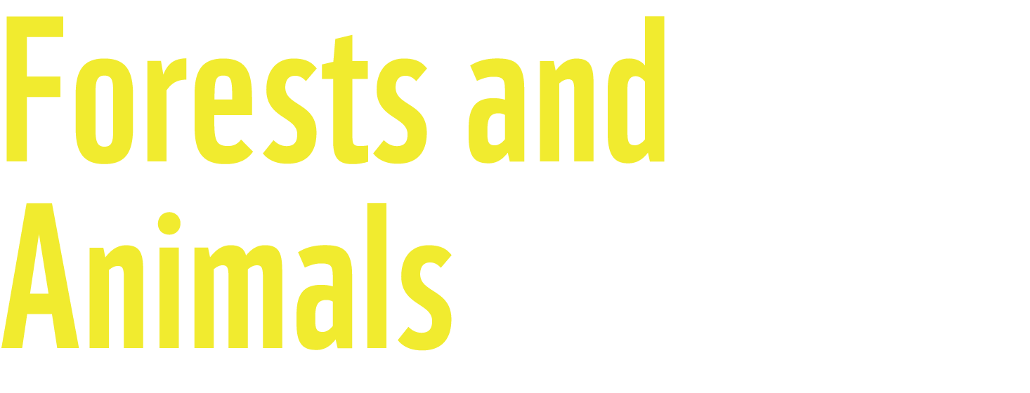 Forests and 
Animals