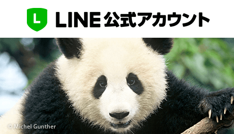 LINE登録