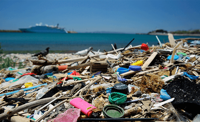 減プラスチックを推進する法の整備