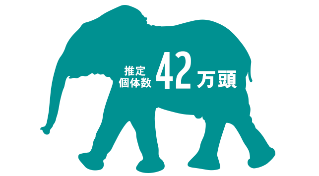 推定個体数42万頭