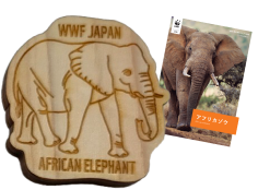 アフリカゾウ ピンバッジ