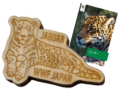 ジャガー ピンバッジ