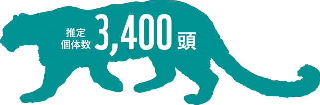 推定個体数3,400頭