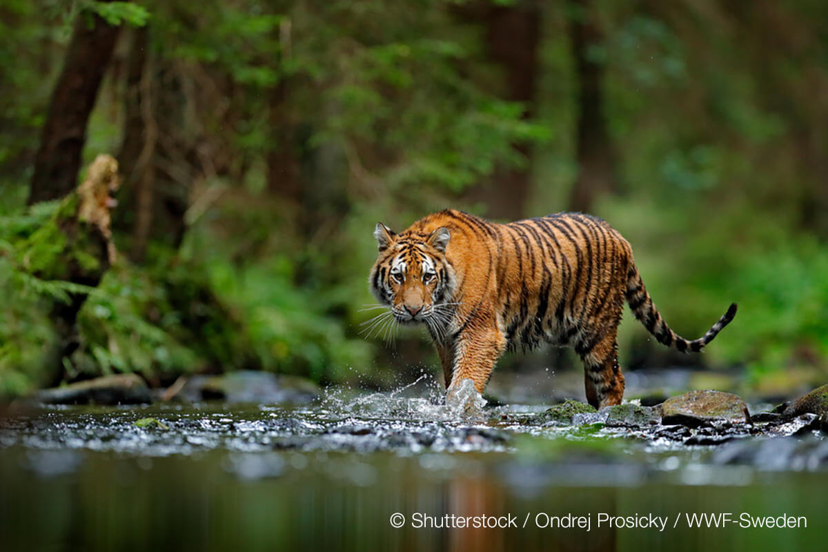 What’s BEE 目的・背景のイメージ画像