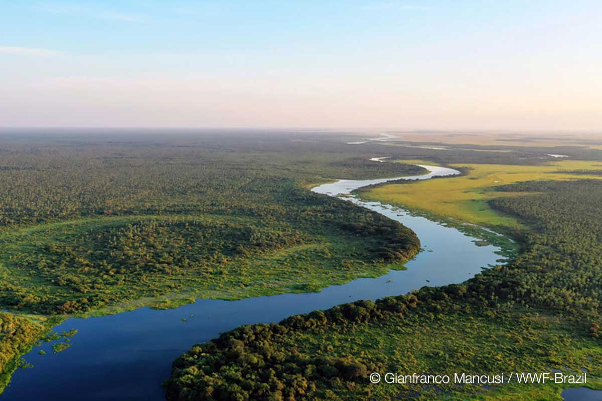 Seeking BEEが求める人物像イメージ画像