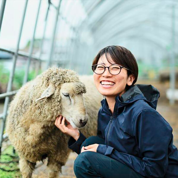 佐藤 智香