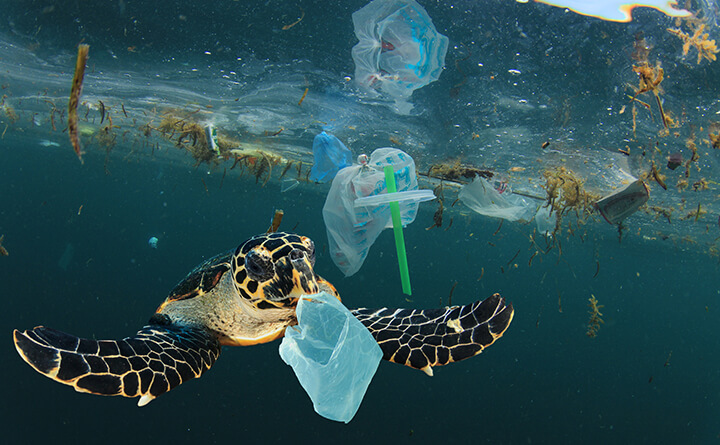 プラスチックをめぐるサーキュラーデザインと実装の画像